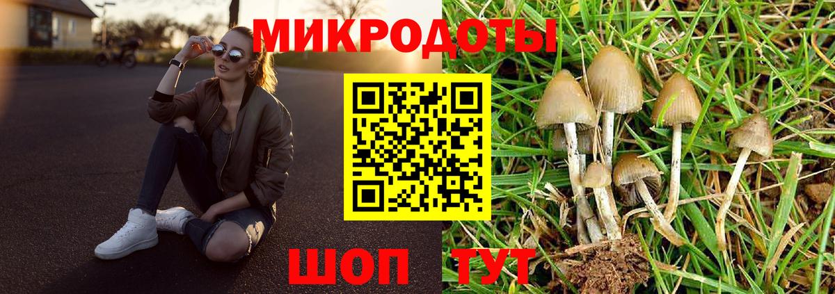 Галлюциногенные грибы мухоморы  Вход с VPN  как найти наркотики  Асино 